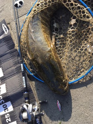 hideup 永野総一朗 ブログ写真 2017/01/04