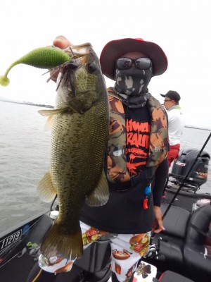 hideup 豌ｸ驥守ｷ丈ｸ譛� 繝悶Ο繧ｰ蜀咏悄 2017/07/11