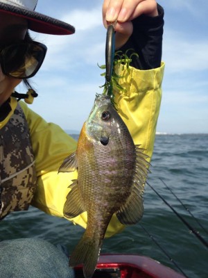 hideup 永野総一朗 ブログ写真 2014/11/11