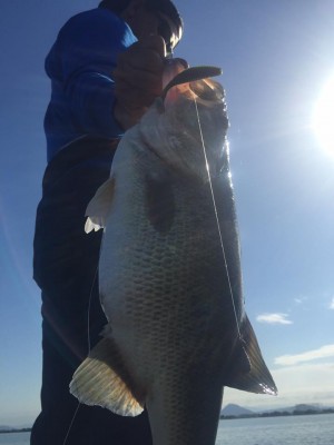 hideup 永野総一朗 ブログ写真 2015/10/05