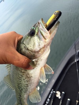 hideup 永野総一朗 ブログ写真 2016/06/22