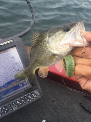 hideup 永野総一朗 ブログ写真 2015/09/27