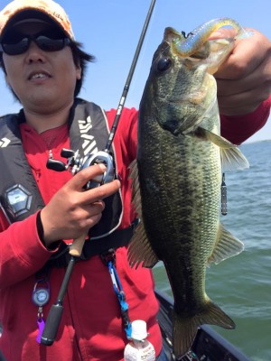 hideup 永野総一朗 ブログ写真 2016/05/01