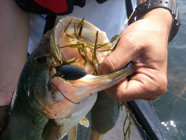hideup 永野総一朗 ブログ写真 2014/06/26