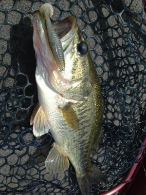 hideup 永野総一朗 ブログ写真 2015/06/07