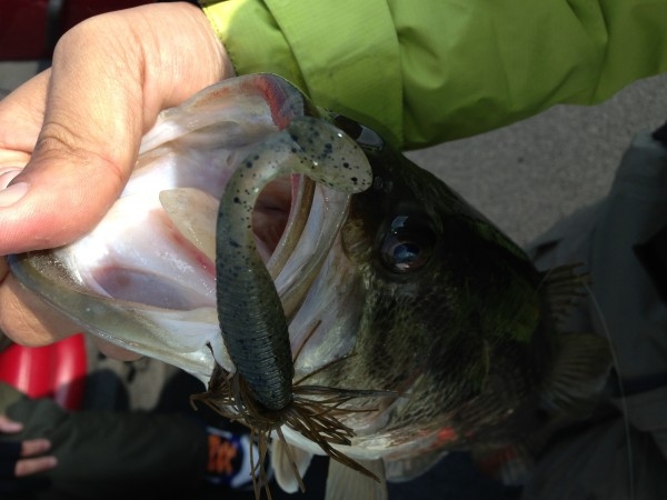 hideup 永野総一朗 ブログ写真 2013/03/15