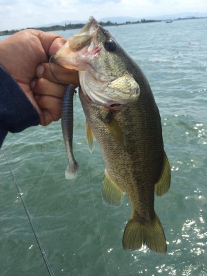 hideup 永野総一朗 ブログ写真 2015/09/13