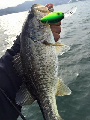 hideup 永野総一朗 ブログ写真 2016/04/09