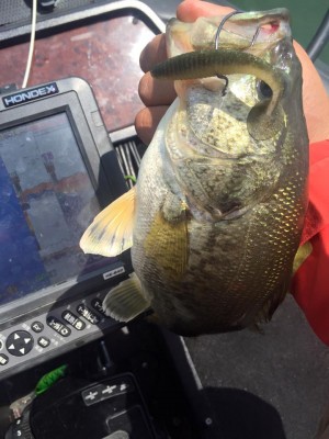 hideup 永野総一朗 ブログ写真 2016/05/21