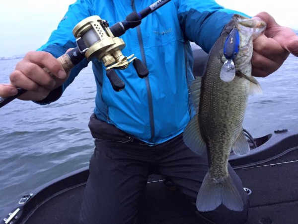 hideup 永野総一朗 ブログ写真 2016/04/03