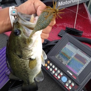 hideup 豌ｸ驥守ｷ丈ｸ譛� 繝悶Ο繧ｰ蜀咏悄 2014/07/14