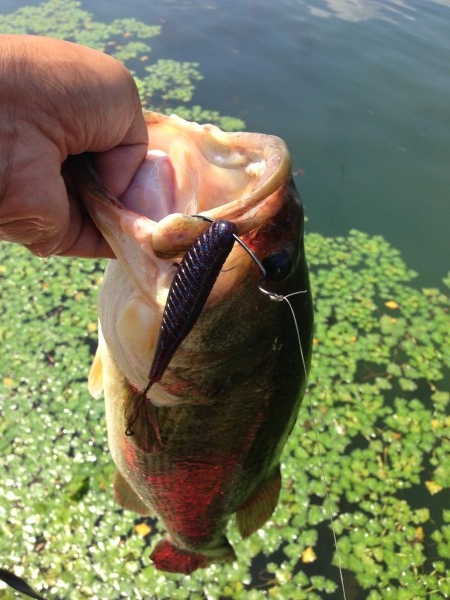 hideup 豌ｸ驥守ｷ丈ｸ譛� 繝悶Ο繧ｰ蜀咏悄 2014/02/16