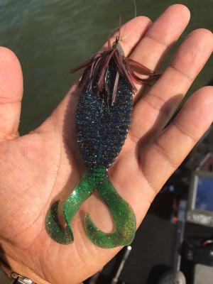 hideup 永野総一朗 ブログ写真 2017/08/09