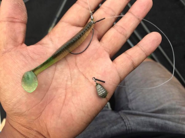 hideup 豌ｸ驥守ｷ丈ｸ譛� 繝悶Ο繧ｰ蜀咏悄 2017/08/06