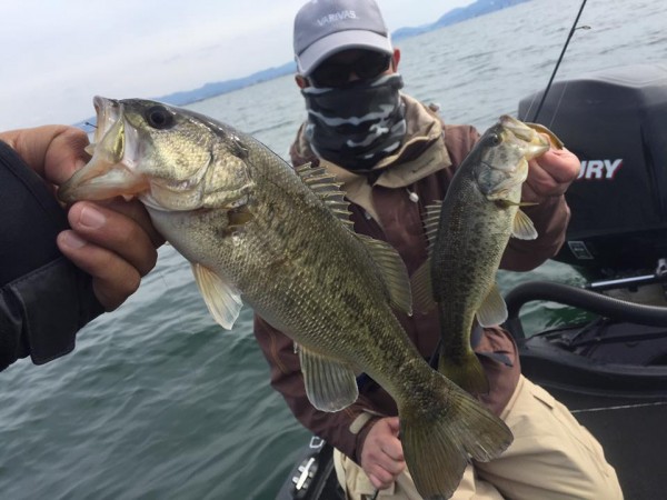 hideup 永野総一朗 ブログ写真 2017/03/26