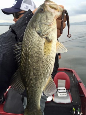 hideup 永野総一朗 ブログ写真 2015/11/15