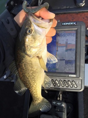 hideup 永野総一朗 ブログ写真 2016/04/01