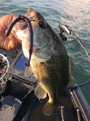 hideup 永野総一朗 ブログ写真 2017/07/19