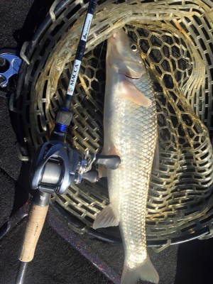 hideup 永野総一朗 ブログ写真 2016/01/09