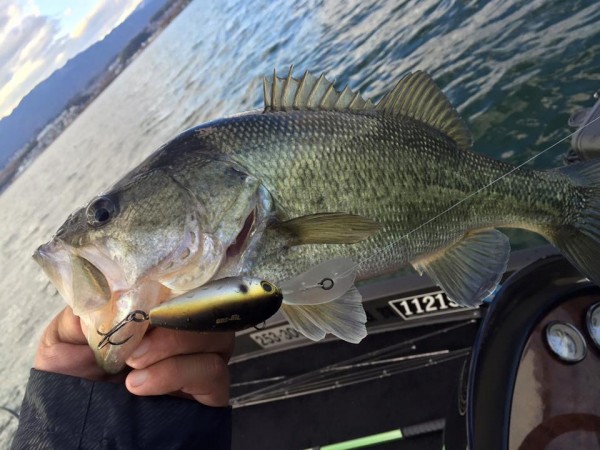 hideup 永野総一朗 ブログ写真 2016/01/09