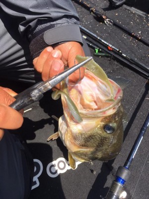 hideup 永野総一朗 ブログ写真 2017/04/30