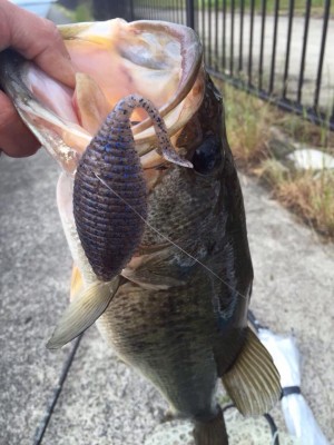 hideup 永野総一朗 ブログ写真 2015/06/03