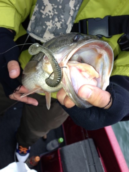 hideup 永野総一朗 ブログ写真 2013/03/13