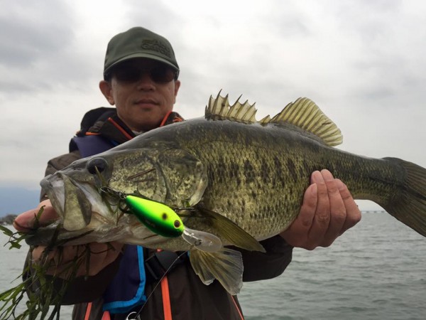 hideup 永野総一朗 ブログ写真 2015/11/13