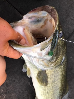 hideup 永野総一朗 ブログ写真 2017/08/07