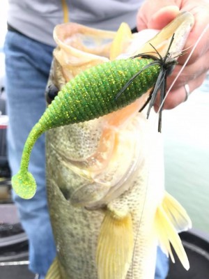 hideup 豌ｸ驥守ｷ丈ｸ譛� 繝悶Ο繧ｰ蜀咏悄 2017/06/22