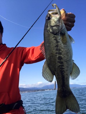 hideup 永野総一朗 ブログ写真 2016/04/15