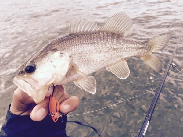 hideup 永野総一朗 ブログ写真 2015/11/28