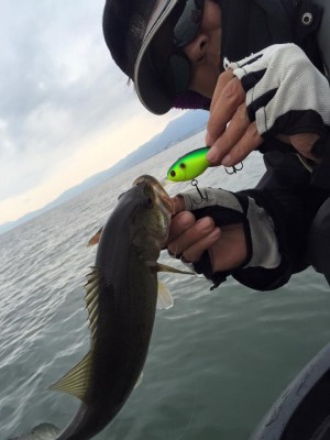 hideup 永野総一朗 ブログ写真 2016/04/14