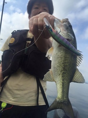 hideup 永野総一朗 ブログ写真 2016/06/08