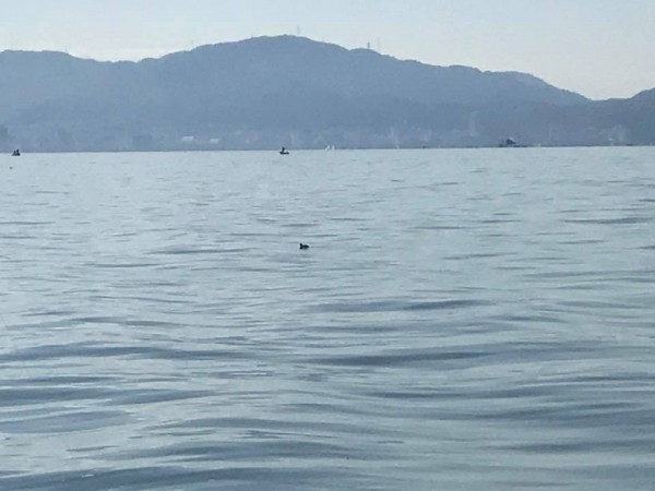 hideup 永野総一朗 ブログ写真 2017/12/10