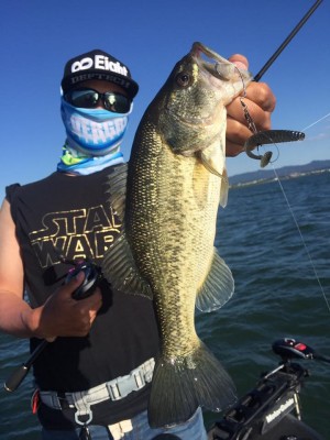 hideup 永野総一朗 ブログ写真 2017/05/18