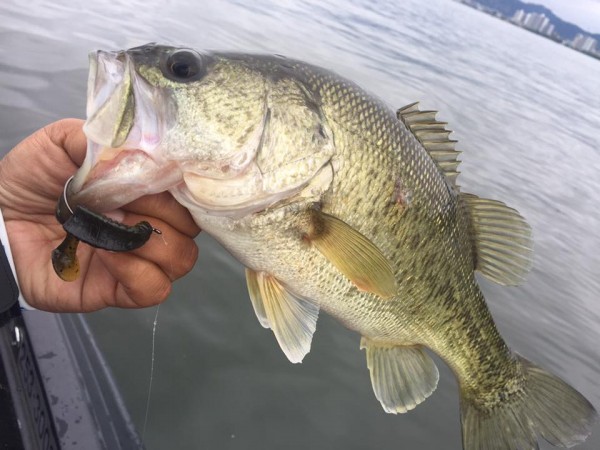 hideup 永野総一朗 ブログ写真 2017/05/14