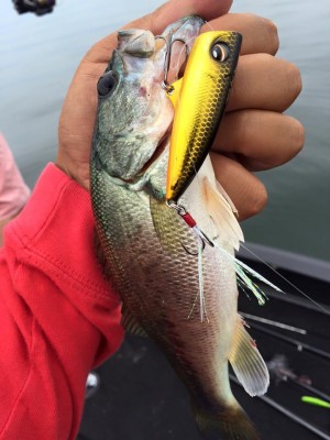 hideup 永野総一朗 ブログ写真 2016/06/22