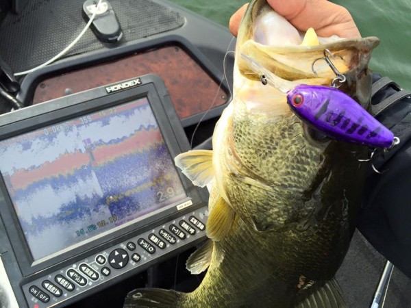 hideup 豌ｸ驥守ｷ丈ｸ譛� 繝悶Ο繧ｰ蜀咏悄 2016/04/07