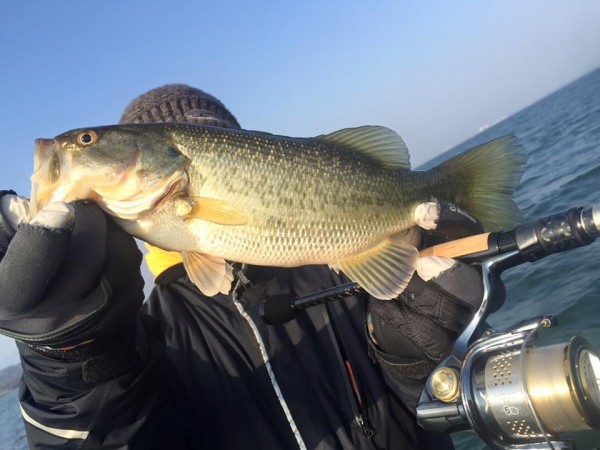 hideup 永野総一朗 ブログ写真 2016/02/28