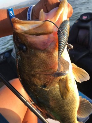 hideup 永野総一朗 ブログ写真 2017/09/02