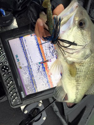 hideup 永野総一朗 ブログ写真 2016/04/07