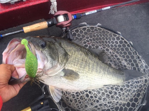 hideup 永野総一朗 ブログ写真 2015/08/17