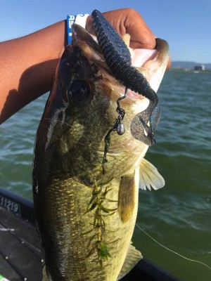 hideup 永野総一朗 ブログ写真 2017/09/01