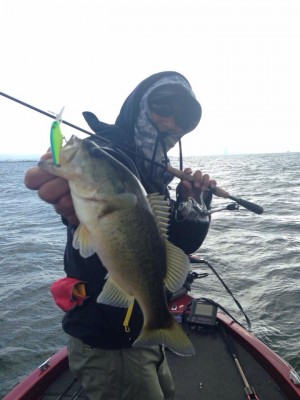 hideup 永野総一朗 ブログ写真 2014/11/18