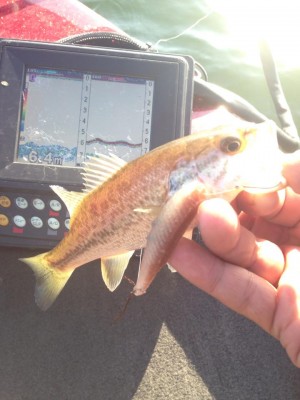 hideup 永野総一朗 ブログ写真 2014/10/15