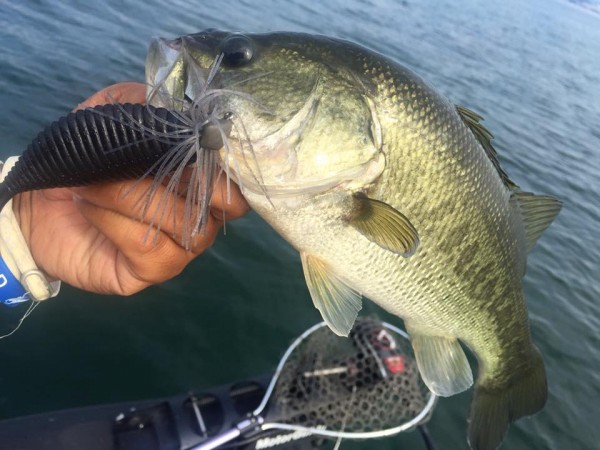 hideup 永野総一朗 ブログ写真 2016/08/13