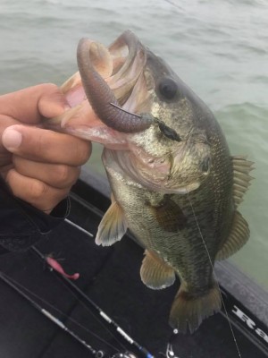 hideup 永野総一朗 ブログ写真 2017/06/22