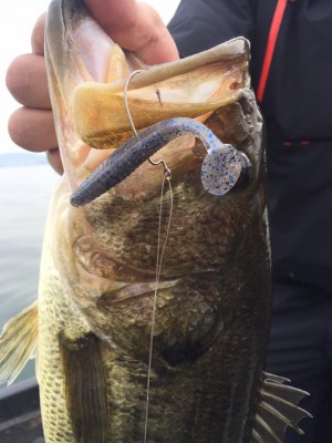 hideup 永野総一朗 ブログ写真 2017/03/05