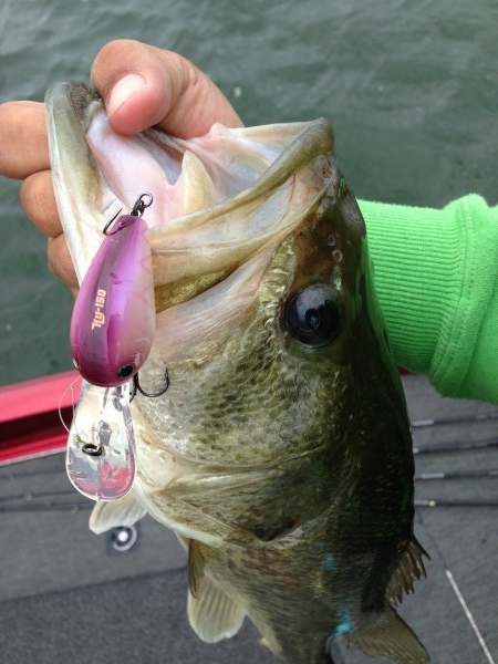 hideup 豌ｸ驥守ｷ丈ｸ譛� 繝悶Ο繧ｰ蜀咏悄 2013/07/04